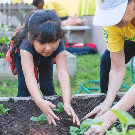 Los Angeles Teaching Gardens