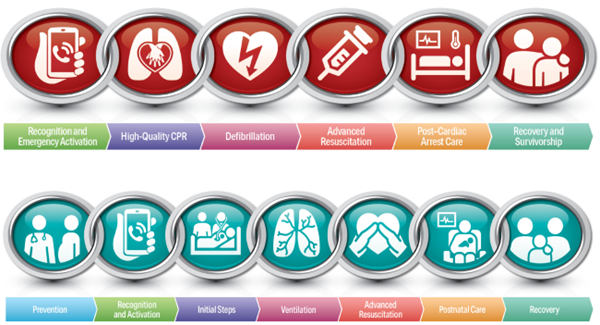 Resuscitation Chain