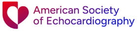 ASE Logo