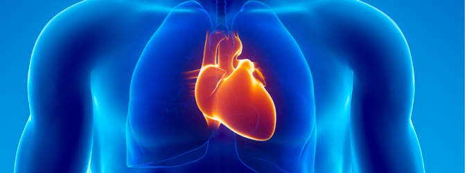 heart