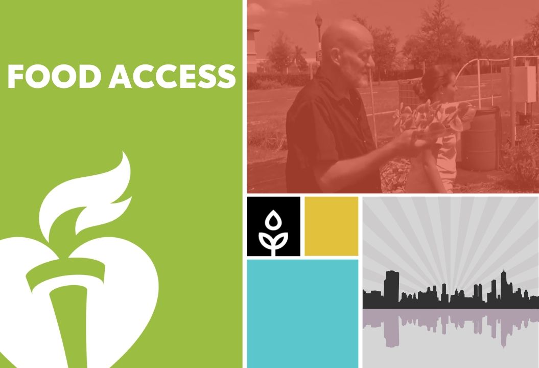 Food Access