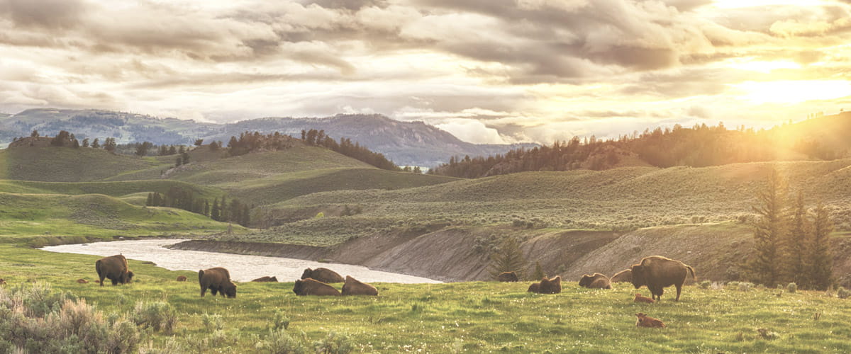 Wyoming